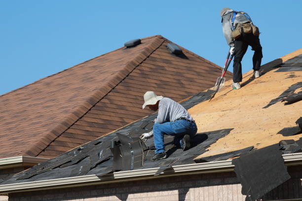Best Roof Insulation Installation  in Hot Springs, SD